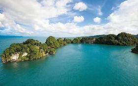 Room In Guest Room - Best Bed And Breakfast In Samana Breakfast Included