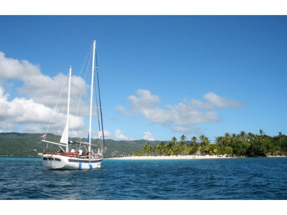 Room In Guest Room - Best Bed And Breakfast In Samana Breakfast Included Exterior foto
